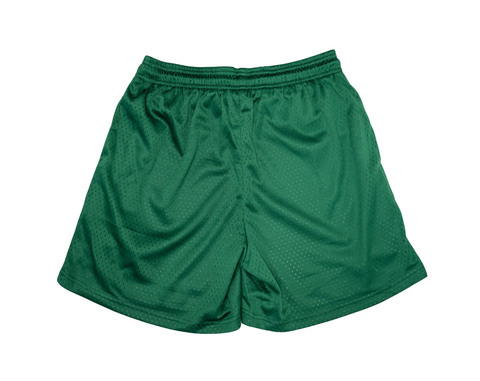 Socially Selective Mesh Shorts (GREEN)